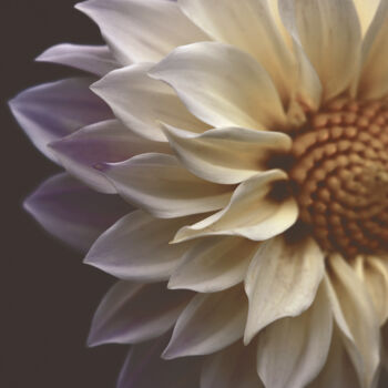 Fotografie mit dem Titel "Flowerissimo_13953" von Michael Vdovin, Original-Kunstwerk, Digitale Fotografie
