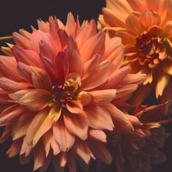 Photographie intitulée "Flowerissimo_15692" par Michael Vdovin, Œuvre d'art originale, Photographie numérique