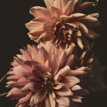 Photographie intitulée "Flowerissimo_15690" par Michael Vdovin, Œuvre d'art originale, Photographie numérique