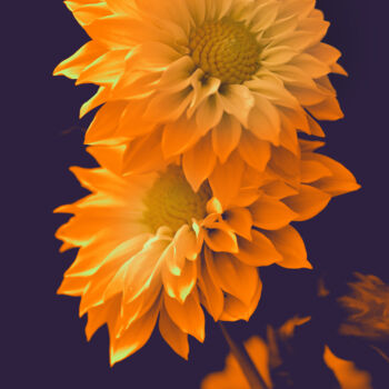 Fotografie getiteld "Flowerissimo_14027" door Michael Vdovin, Origineel Kunstwerk, Digitale fotografie