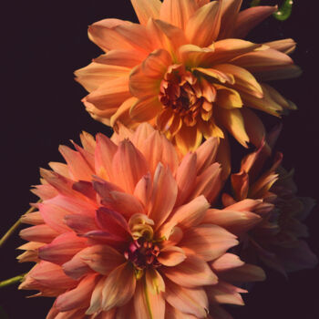 Fotografia intitolato "Flowerissimo_15693" da Michael Vdovin, Opera d'arte originale, Fotografia digitale