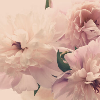 Photography titled "Flowerissimo_17132" by Michael Vdovin, Original Artwork, Digital Photography