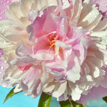 Fotografia intitolato "Flower_12174" da Michael Vdovin, Opera d'arte originale, Fotografia digitale