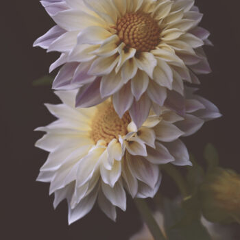 Photographie intitulée "Flowerissimo_14029" par Michael Vdovin, Œuvre d'art originale, Photographie numérique