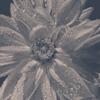 Photographie intitulée "Flowerissimo_14599" par Michael Vdovin, Œuvre d'art originale, Photographie numérique