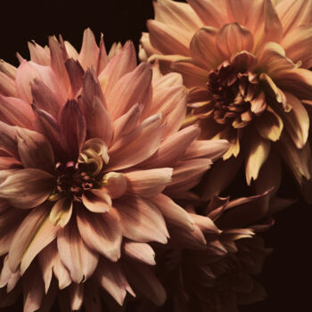 Photography titled "Flowerissimo_15691" by Michael Vdovin, Original Artwork, Digital Photography