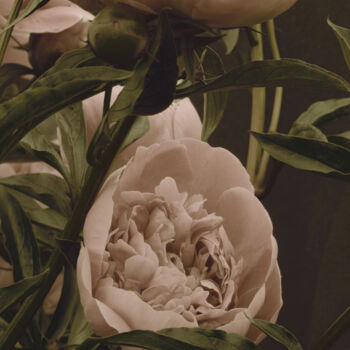 Photographie intitulée "Flowerissimo_10367" par Michael Vdovin, Œuvre d'art originale, Photographie numérique