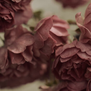 Photographie intitulée "Flowerissimo_13983" par Michael Vdovin, Œuvre d'art originale, Photographie numérique