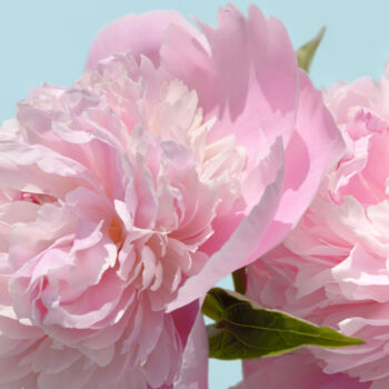 Photographie intitulée "Flower_18887" par Michael Vdovin, Œuvre d'art originale, Photographie numérique