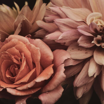 Photography titled "Flowerissimo_15914" by Michael Vdovin, Original Artwork, Digital Photography