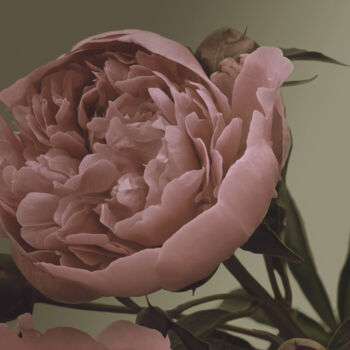 摄影 标题为“Flowerissimo_10024” 由Michael Vdovin, 原创艺术品, 数码摄影