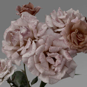 Photography titled "Flowerissimo_15088" by Michael Vdovin, Original Artwork, Digital Photography