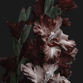 Photographie intitulée "Flowerissimo_13127" par Michael Vdovin, Œuvre d'art originale, Photographie numérique