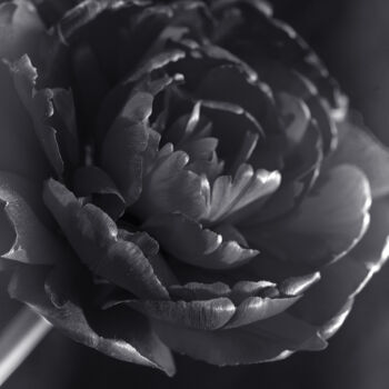 Photographie intitulée "Flowerissimo_10340" par Michael Vdovin, Œuvre d'art originale, Photographie numérique