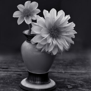 Photography titled "Flowerissimo_15881" by Michael Vdovin, Original Artwork, Digital Photography