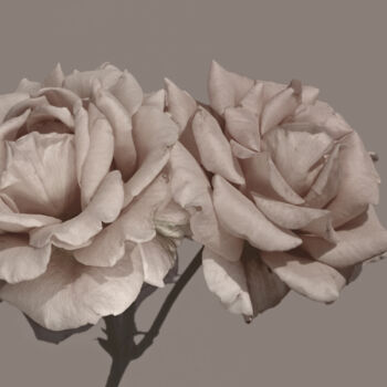 Fotografia intitolato "Flowerissimo_13850" da Michael Vdovin, Opera d'arte originale, Fotografia digitale