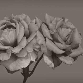 Photographie intitulée "Flowerissimo_13896" par Michael Vdovin, Œuvre d'art originale, Photographie numérique