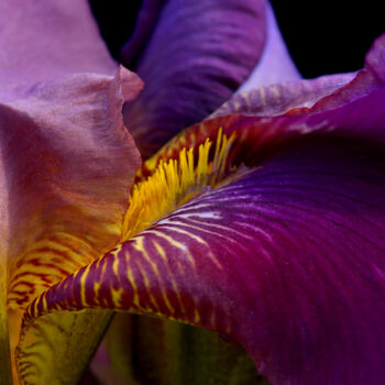 Fotografie getiteld "Flowerissimo_16501" door Michael Vdovin, Origineel Kunstwerk, Digitale fotografie