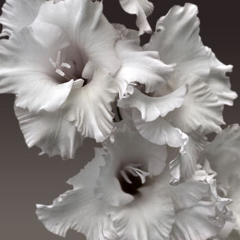 Photographie intitulée "Flowerissimo_18256" par Michael Vdovin, Œuvre d'art originale, Photographie numérique