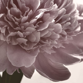 Fotografia intitolato "Flowerissimo_16536" da Michael Vdovin, Opera d'arte originale, Fotografia digitale