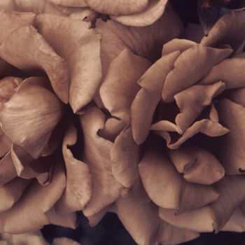 Photographie intitulée "Flowerissimo_15064" par Michael Vdovin, Œuvre d'art originale, Photographie numérique