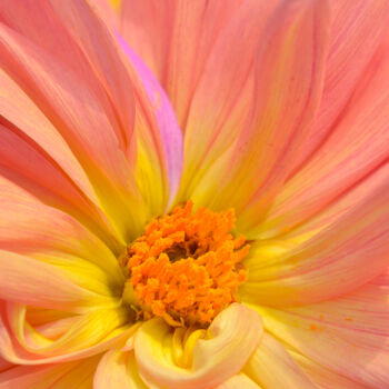 Photographie intitulée "Flowerissimo_14950" par Michael Vdovin, Œuvre d'art originale, Photographie numérique