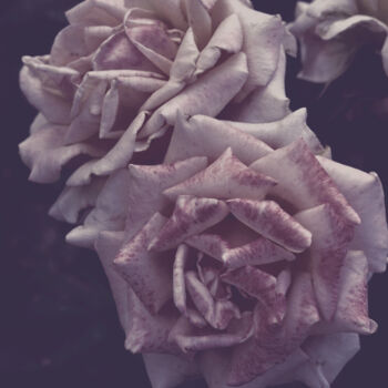 Photographie intitulée "Flowerissimo_15053" par Michael Vdovin, Œuvre d'art originale, Photographie numérique