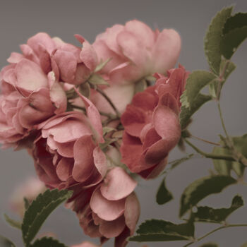 Photographie intitulée "Flowerissimo_18977" par Michael Vdovin, Œuvre d'art originale, Photographie numérique