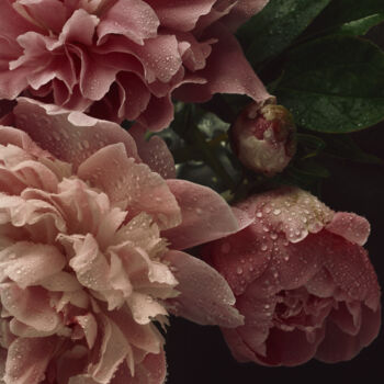 Photographie intitulée "Flowerissimo_13694" par Michael Vdovin, Œuvre d'art originale, Photographie numérique