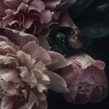 Photographie intitulée "Flowerissimo_13696" par Michael Vdovin, Œuvre d'art originale, Photographie numérique