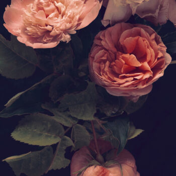 Photography titled "Flowerissimo_16242" by Michael Vdovin, Original Artwork, Digital Photography