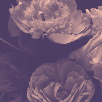 Photography titled "Flowerissimo_16229" by Michael Vdovin, Original Artwork, Digital Photography