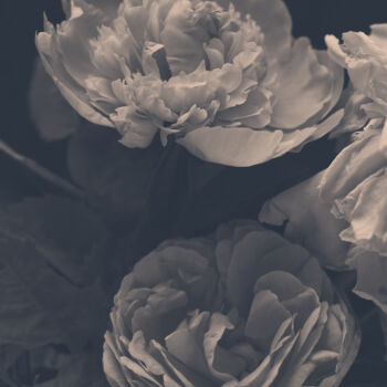 Photographie intitulée "Flowerissimo_16226" par Michael Vdovin, Œuvre d'art originale, Photographie numérique