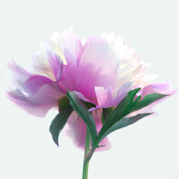 Photographie intitulée "Flowerissimo_13912" par Michael Vdovin, Œuvre d'art originale, Photographie numérique
