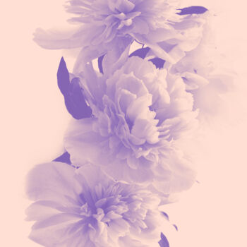 Photographie intitulée "Flowerissimo_17139" par Michael Vdovin, Œuvre d'art originale, Photographie numérique