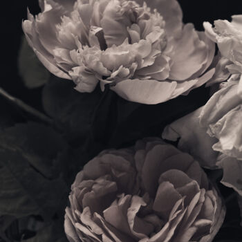 Photography titled "Flowerissimo_16225" by Michael Vdovin, Original Artwork, Digital Photography