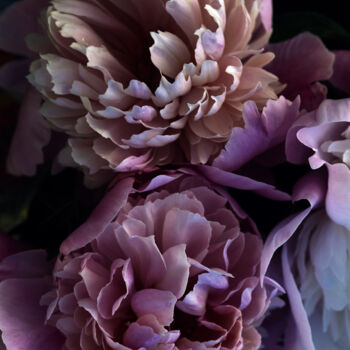 Photographie intitulée "Flowerissimo_16882" par Michael Vdovin, Œuvre d'art originale, Photographie numérique