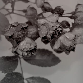 Photographie intitulée "Flowerissimo_19722" par Michael Vdovin, Œuvre d'art originale, Photographie numérique