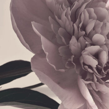 Photographie intitulée "Flowerissimo_16653" par Michael Vdovin, Œuvre d'art originale, Photographie numérique