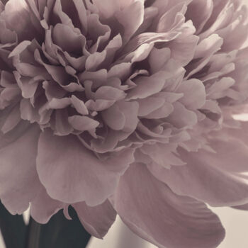 Photography titled "Flowerissimo_16541" by Michael Vdovin, Original Artwork, Digital Photography