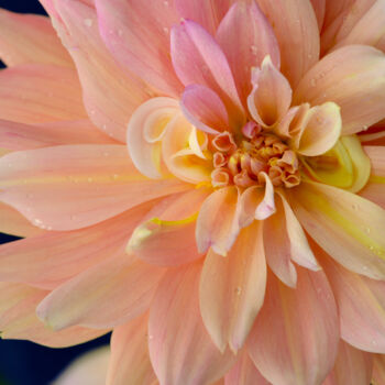 Photographie intitulée "Flowerissimo_15883" par Michael Vdovin, Œuvre d'art originale, Photographie numérique