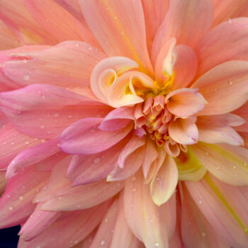 Photographie intitulée "Flowerissimo_15849" par Michael Vdovin, Œuvre d'art originale, Photographie numérique