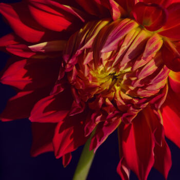 Photographie intitulée "Flowerissimo_13870" par Michael Vdovin, Œuvre d'art originale, Photographie numérique