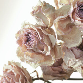 Photographie intitulée "Flowerissimo_12776" par Michael Vdovin, Œuvre d'art originale, Photographie numérique