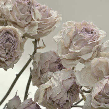 Fotografia intitolato "Flowerissimo_12768" da Michael Vdovin, Opera d'arte originale, Fotografia digitale