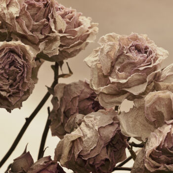 Fotografia intitolato "Flowerissimo_12770" da Michael Vdovin, Opera d'arte originale, Fotografia digitale