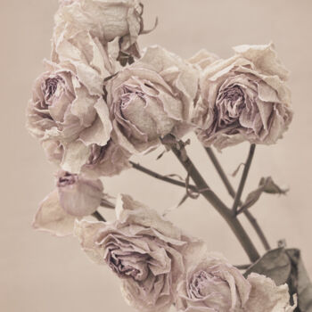 Fotografie mit dem Titel "Flowerissimo_12738" von Michael Vdovin, Original-Kunstwerk, Digitale Fotografie