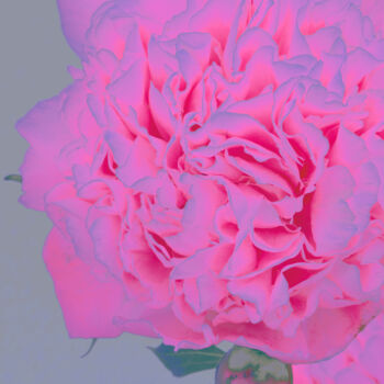 Photographie intitulée "Flowerissimo_10258" par Michael Vdovin, Œuvre d'art originale, Photographie numérique
