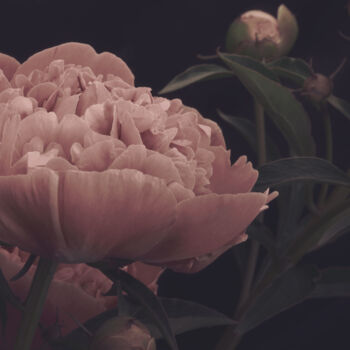 Photographie intitulée "Flowerissimo_10120" par Michael Vdovin, Œuvre d'art originale, Photographie numérique