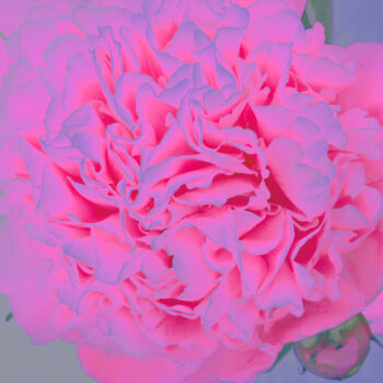 Photographie intitulée "Flowerissimo_10245" par Michael Vdovin, Œuvre d'art originale, Photographie numérique